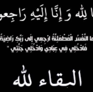 Meet your Posher, Almehdi